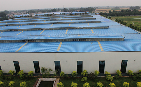 IMG_8464.jpg IMG_8464.jpg