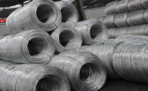 IMG_8448.jpg IMG_8448.jpg