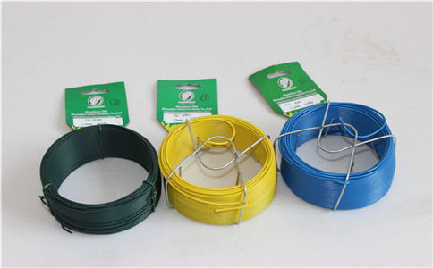 IMG_8603.jpg IMG_8603.jpg