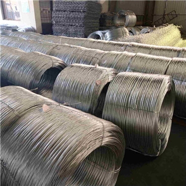 IMG_20190511_171118.jpg IMG_20190511_171118.jpg